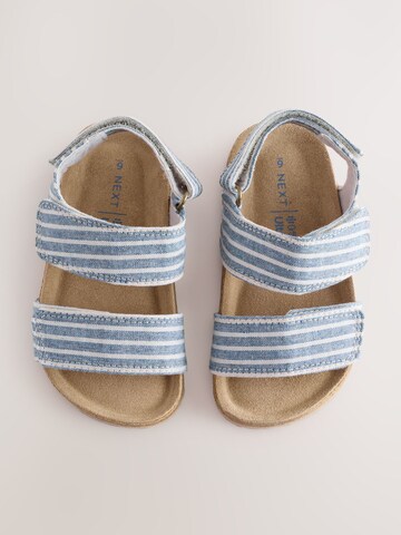 Next Open shoes in Blue