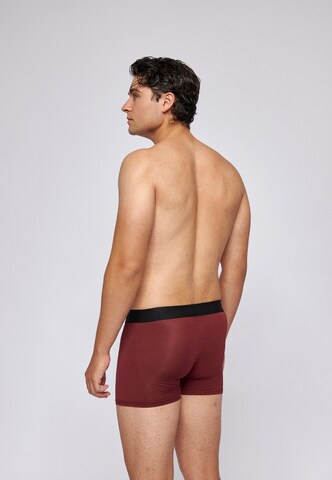 SNOCKS Boxershorts in Rot