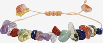 ScalpersNarukvica 'Rosetta' - miks boja boja: prednji dio