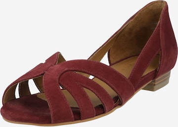 purpurinė Dorothy Perkins Balerinos 'Barb': priekis