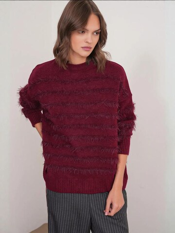 Pullover di MixRay in rosso
