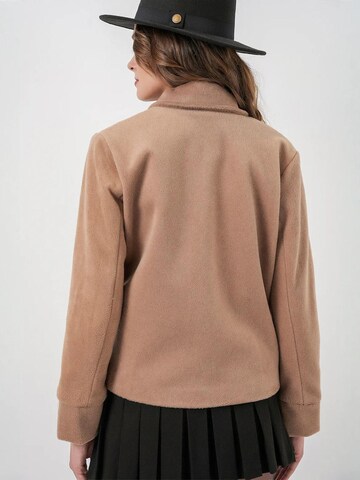 Veste d’hiver 'Jacken' Bigdart en marron