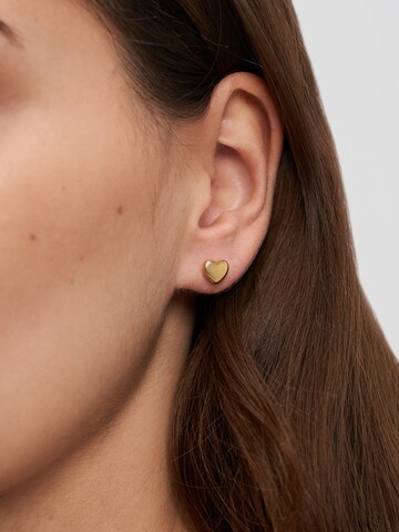 s.Oliver Earrings in Gold