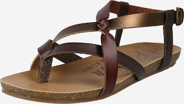 Blowfish Malibu T-Bar Sandals in Brown: front