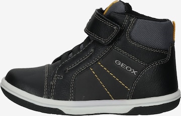 GEOX Sneaker in Schwarz