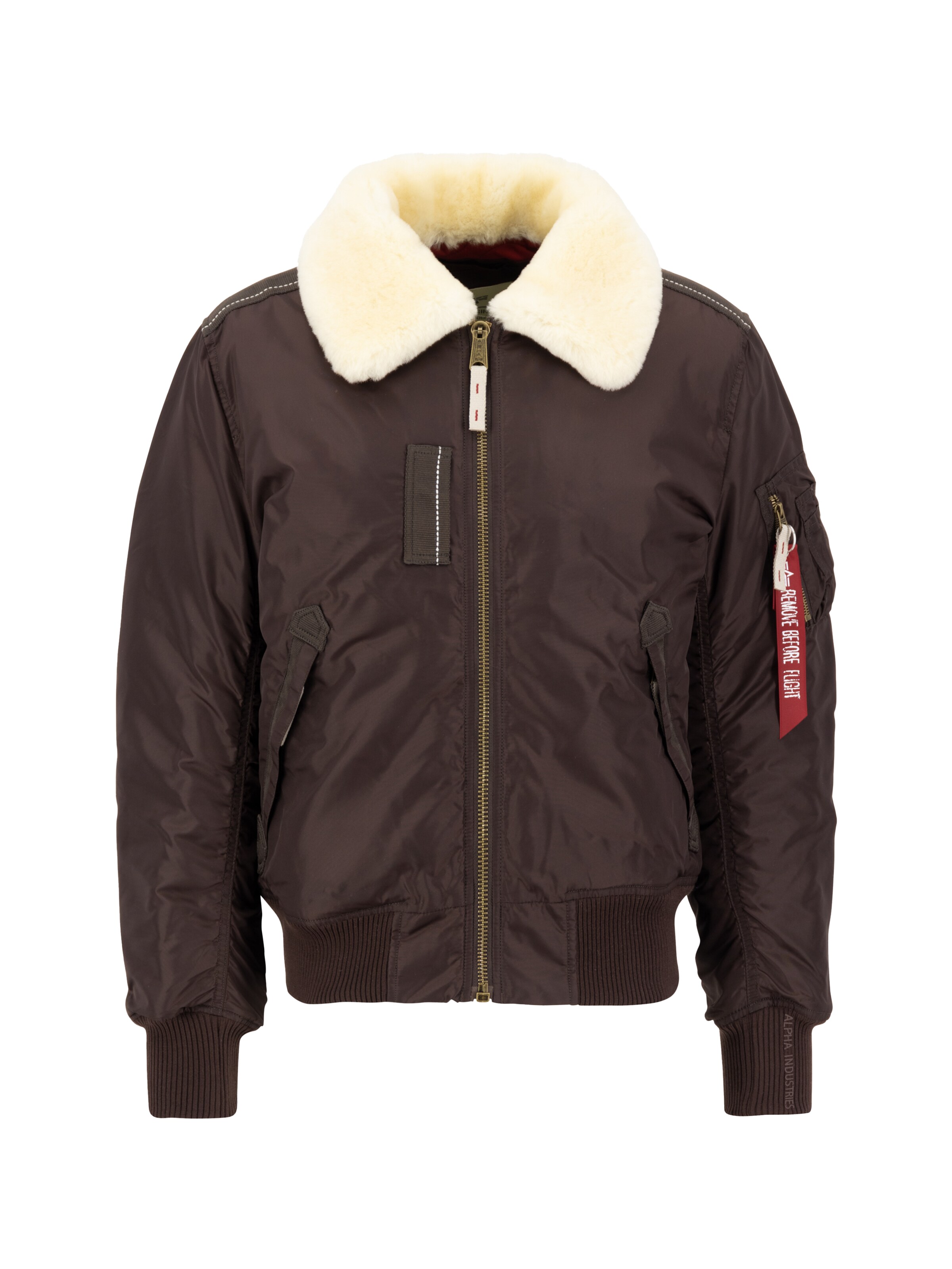 Giacca di mezza stagione 'Injector III' di ALPHA INDUSTRIES in marrone: frontale