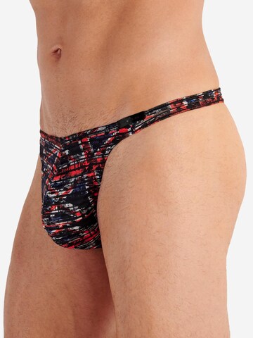 HOM Panty 'Malcom' in Mixed colors