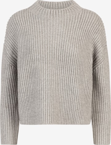 APART Pullover in Grau: Vorderseite