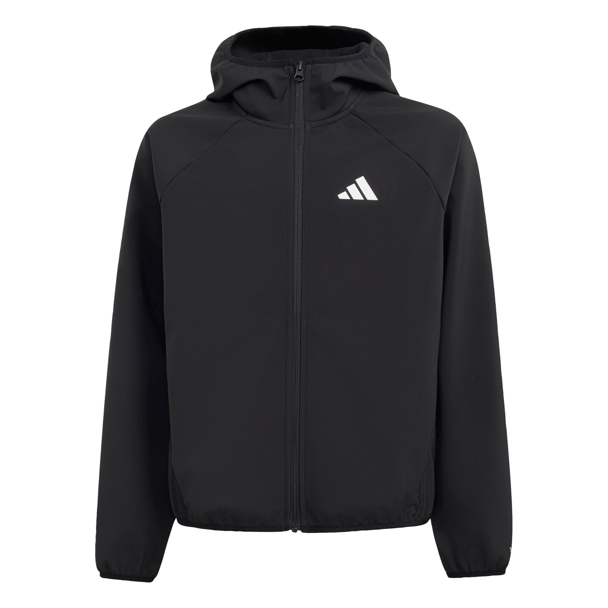 ADIDAS TERREX - Casaco outdoor em preto: frente
