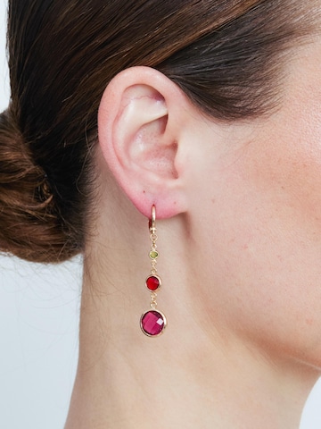 Luxenter Earrings 'Huis' in Mixed colors